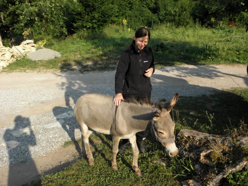 Donkey Zenek - our friend from Bosnia :)