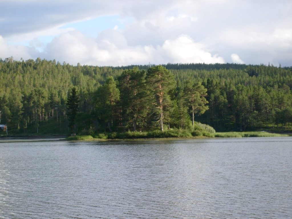 Jezioro niedaleko Idre, naszego ostatniego noclegu w Szwecji