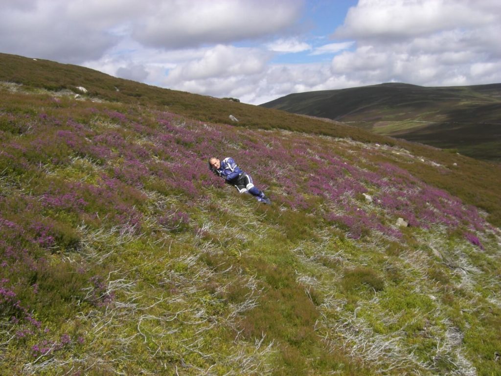 The hills covered with heather